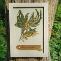 Cadre Mimosa (petit)