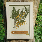 Cadre Mimosa (petit)