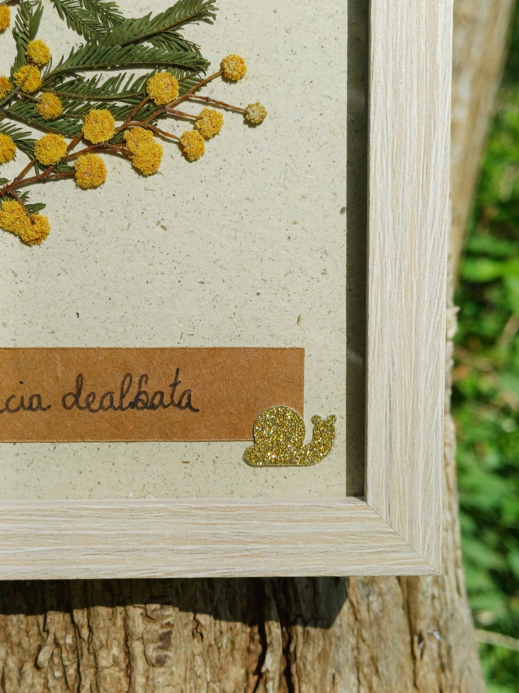 Cadre Mimosa (petit)