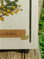 Cadre Mimosa (petit)