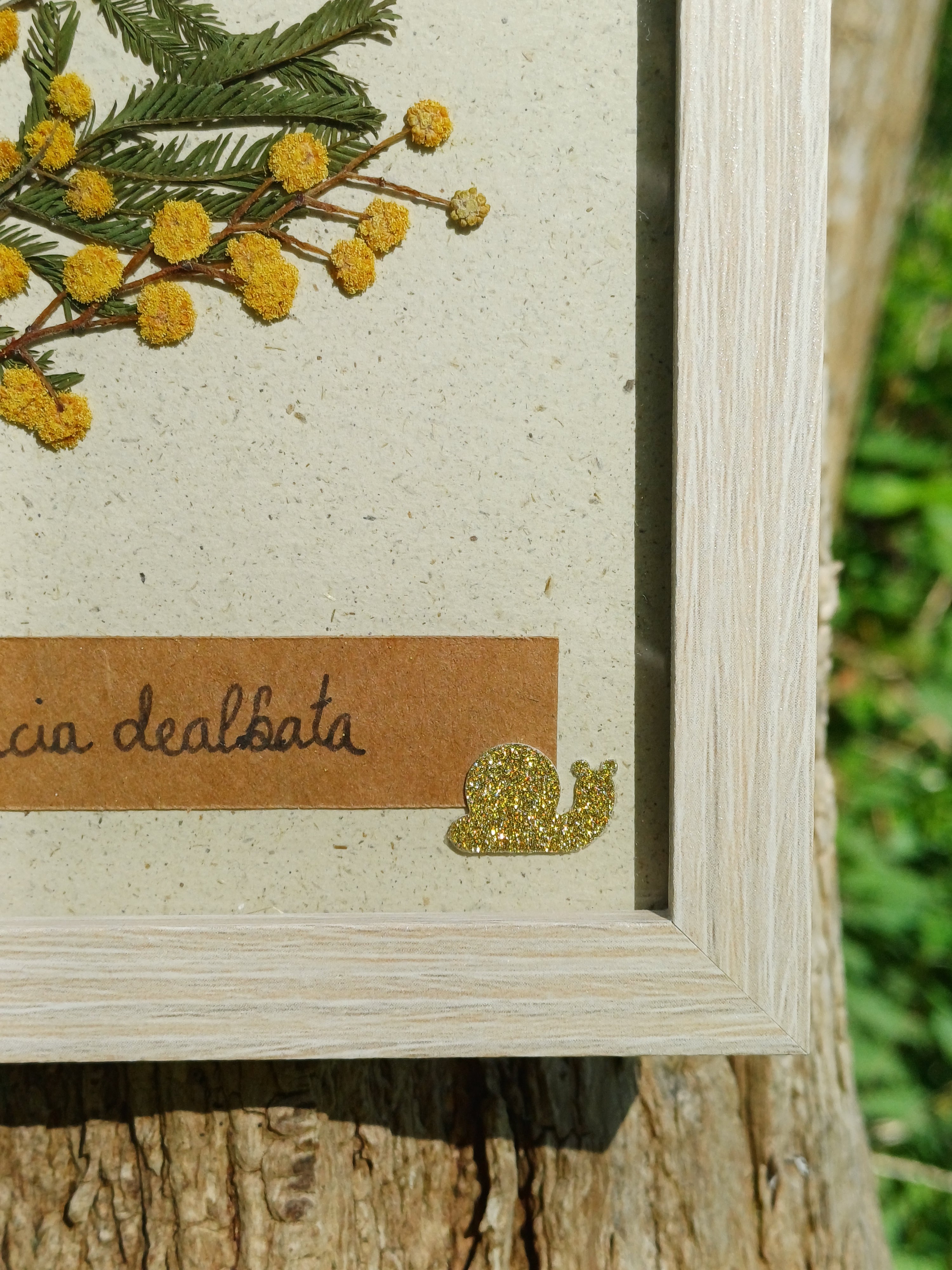 Cadre Mimosa (petit)