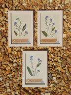 Cadre Myosotis (petit)