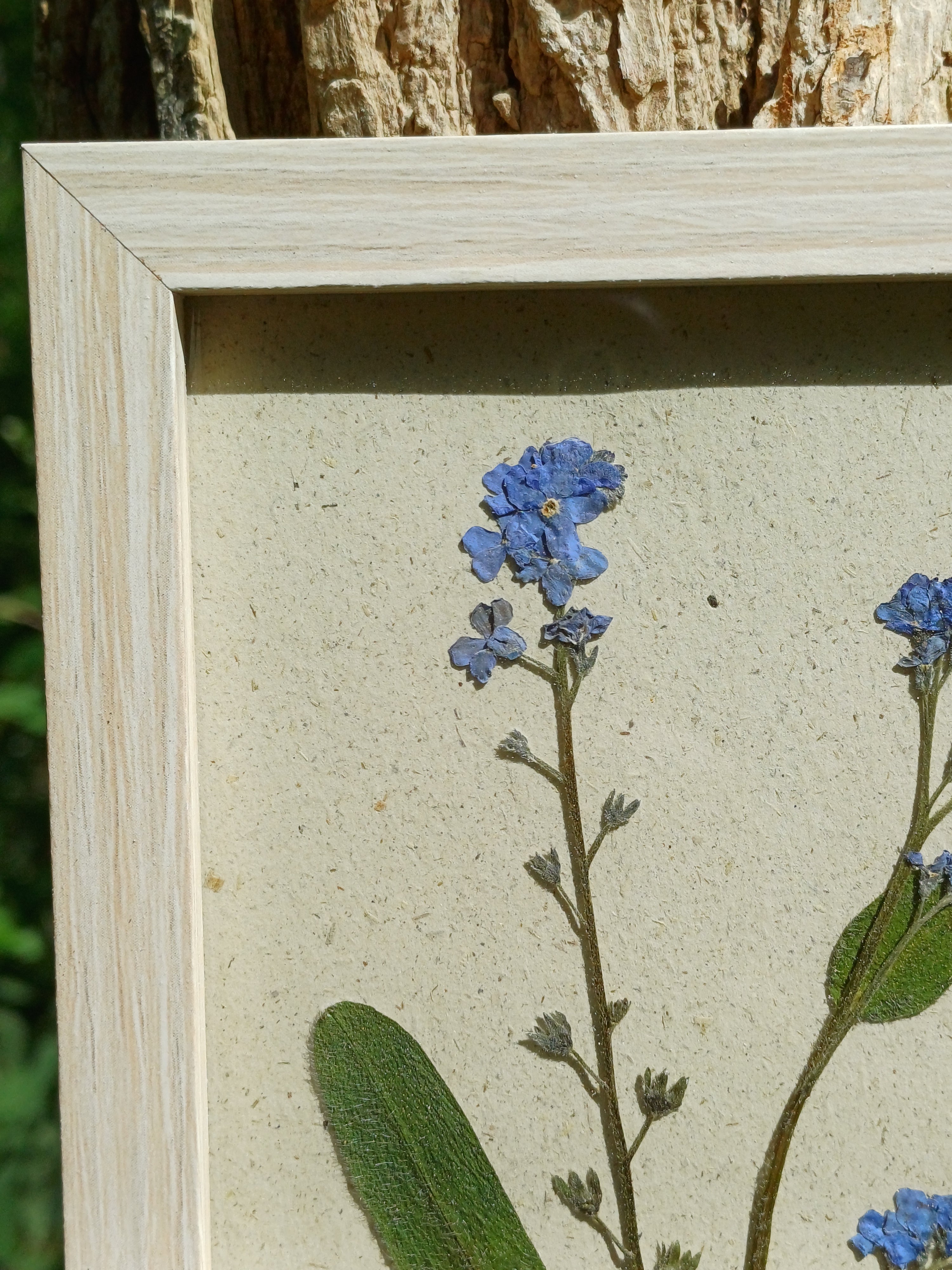 Cadre Myosotis (petit)