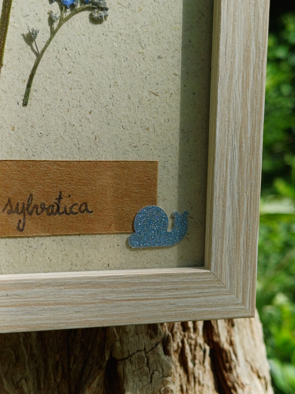 Cadre Myosotis (petit)