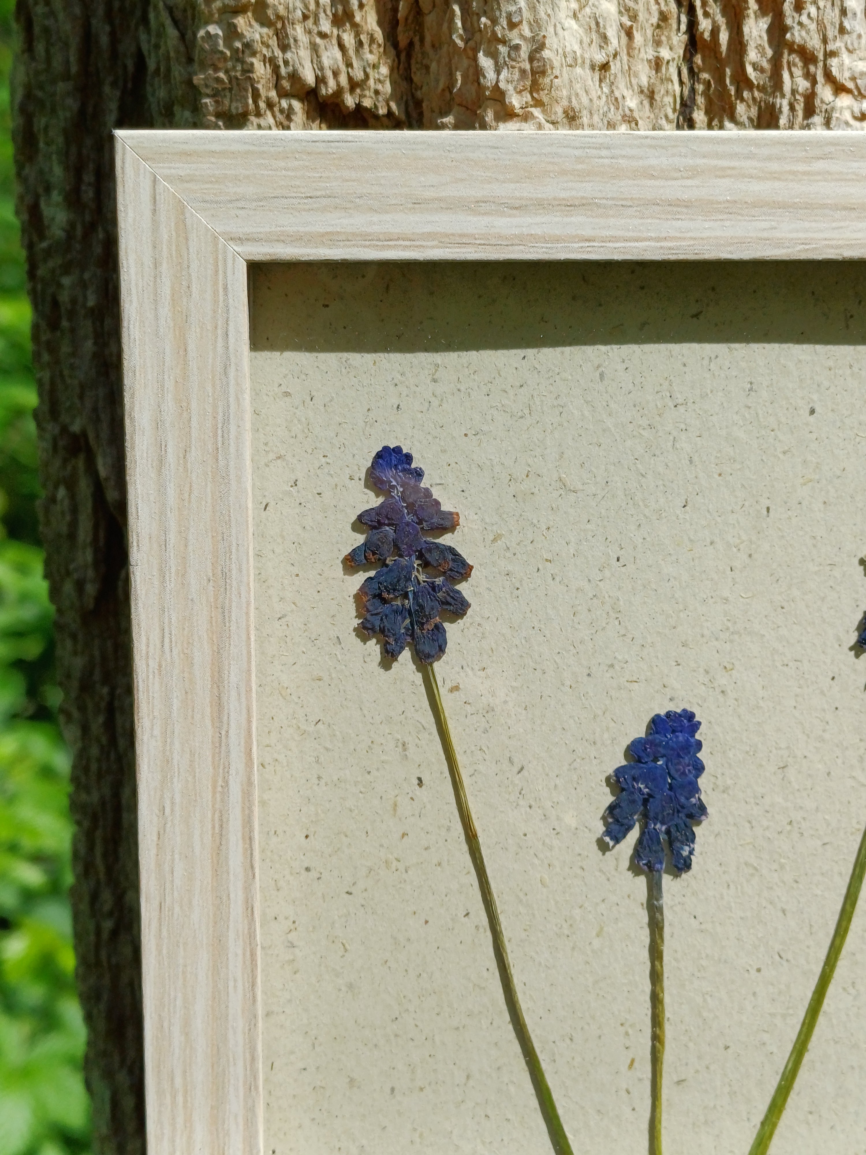 Cadre Muscari (petit)