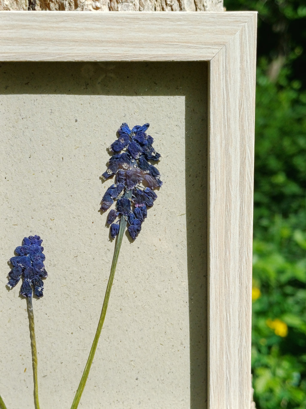 Cadre Muscari (petit)