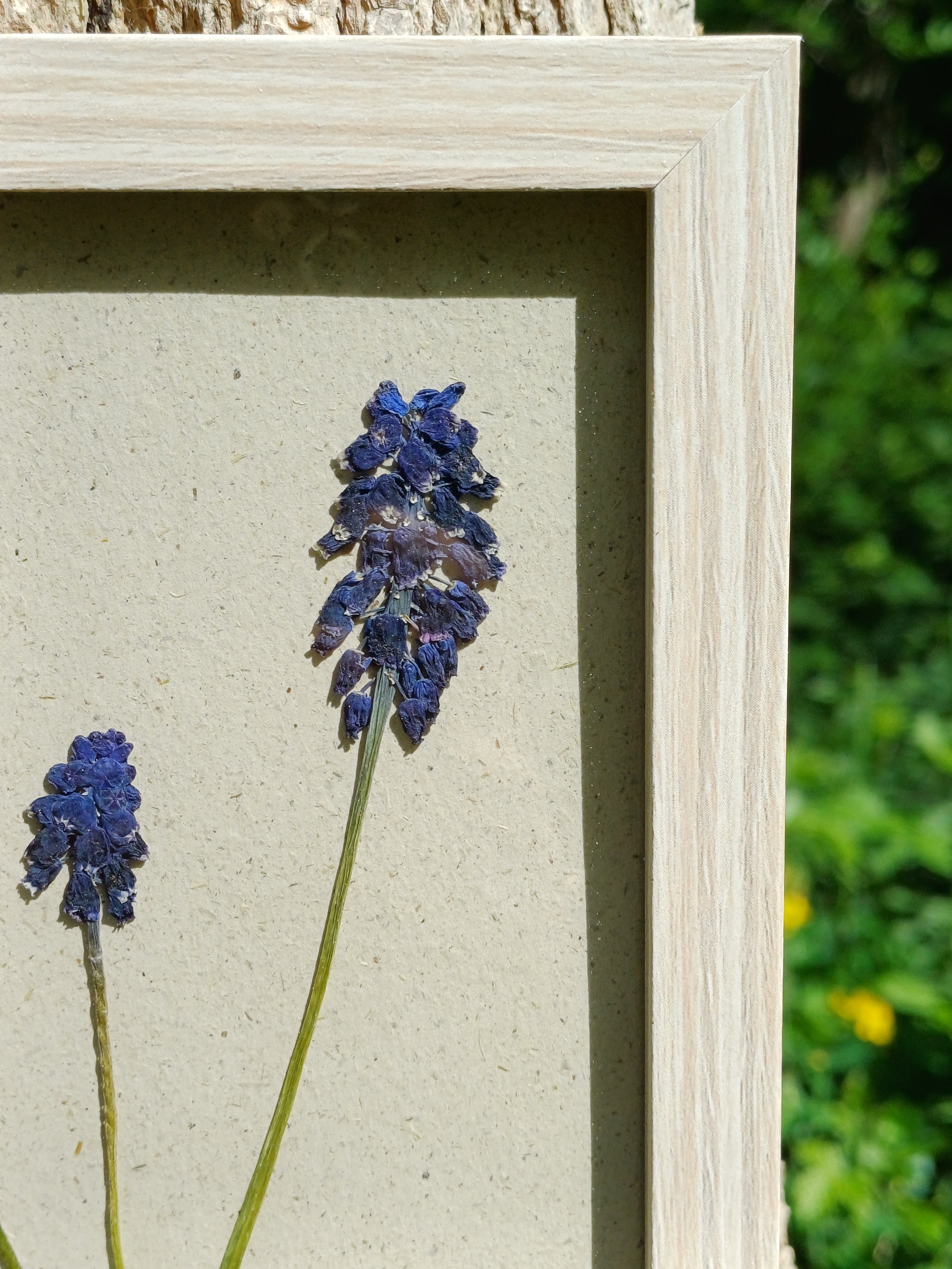 Cadre Muscari (petit)
