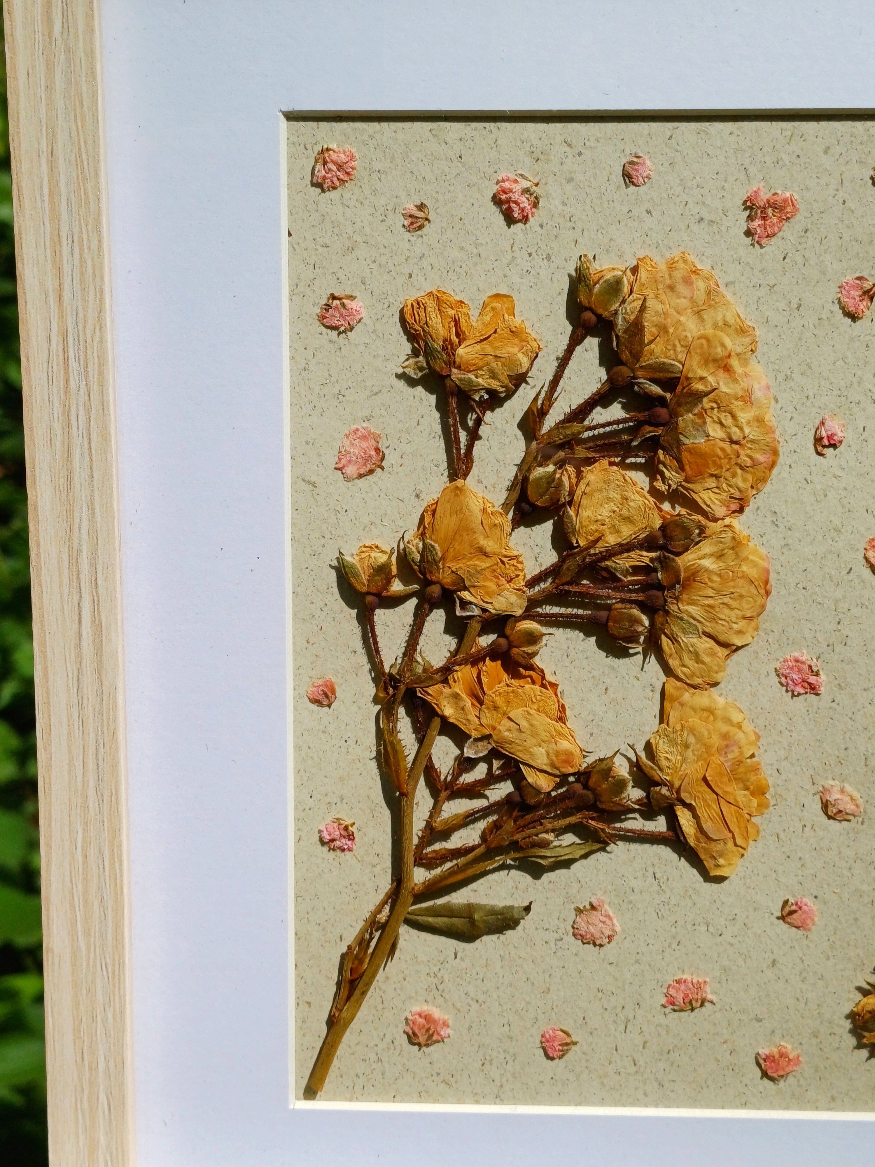 Cadre Polka Dot Rose (carré)