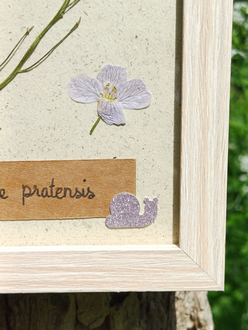 Cadre Cardamine des Prés (petit)