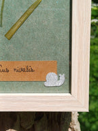 Cadre Perce-Neige (petit)
