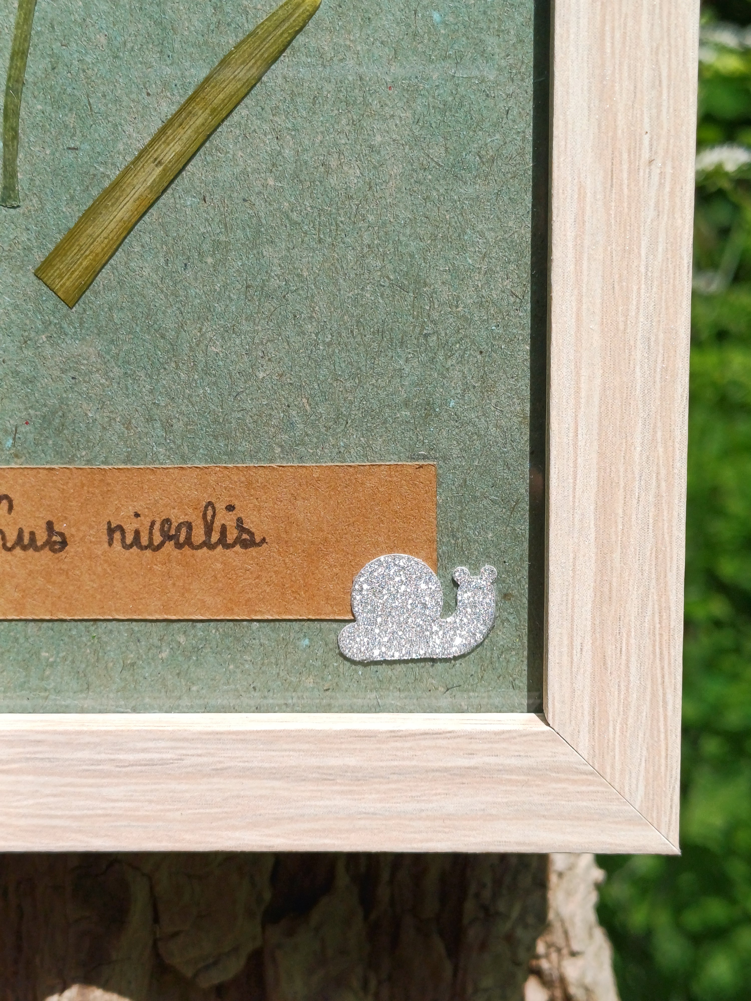 Cadre Perce-Neige (petit)