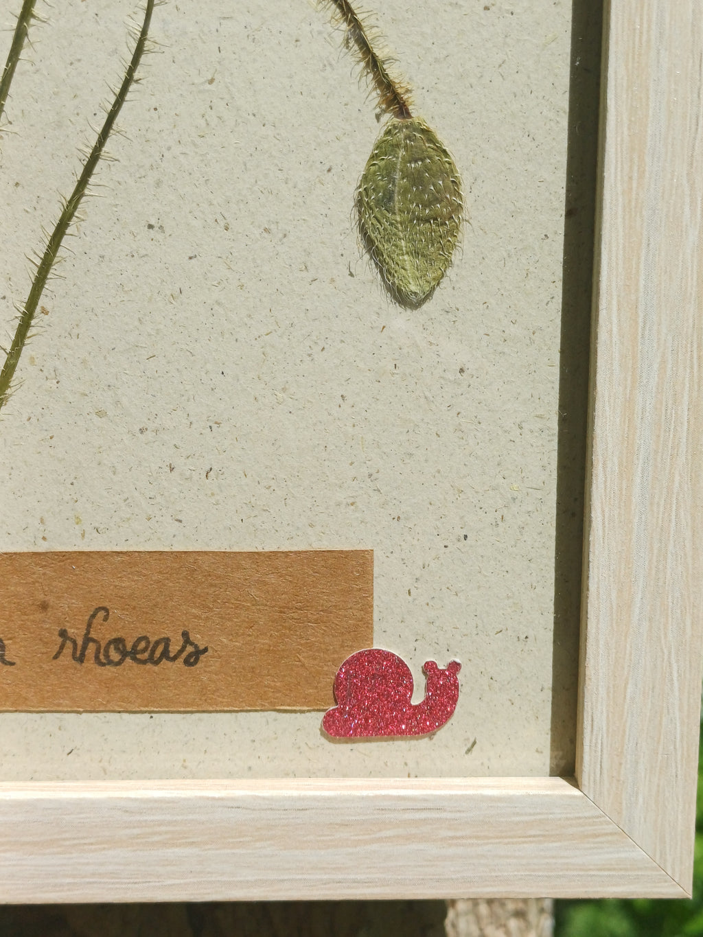 Cadre Coquelicot (moyen)
