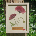 Cadre Coquelicot (moyen)