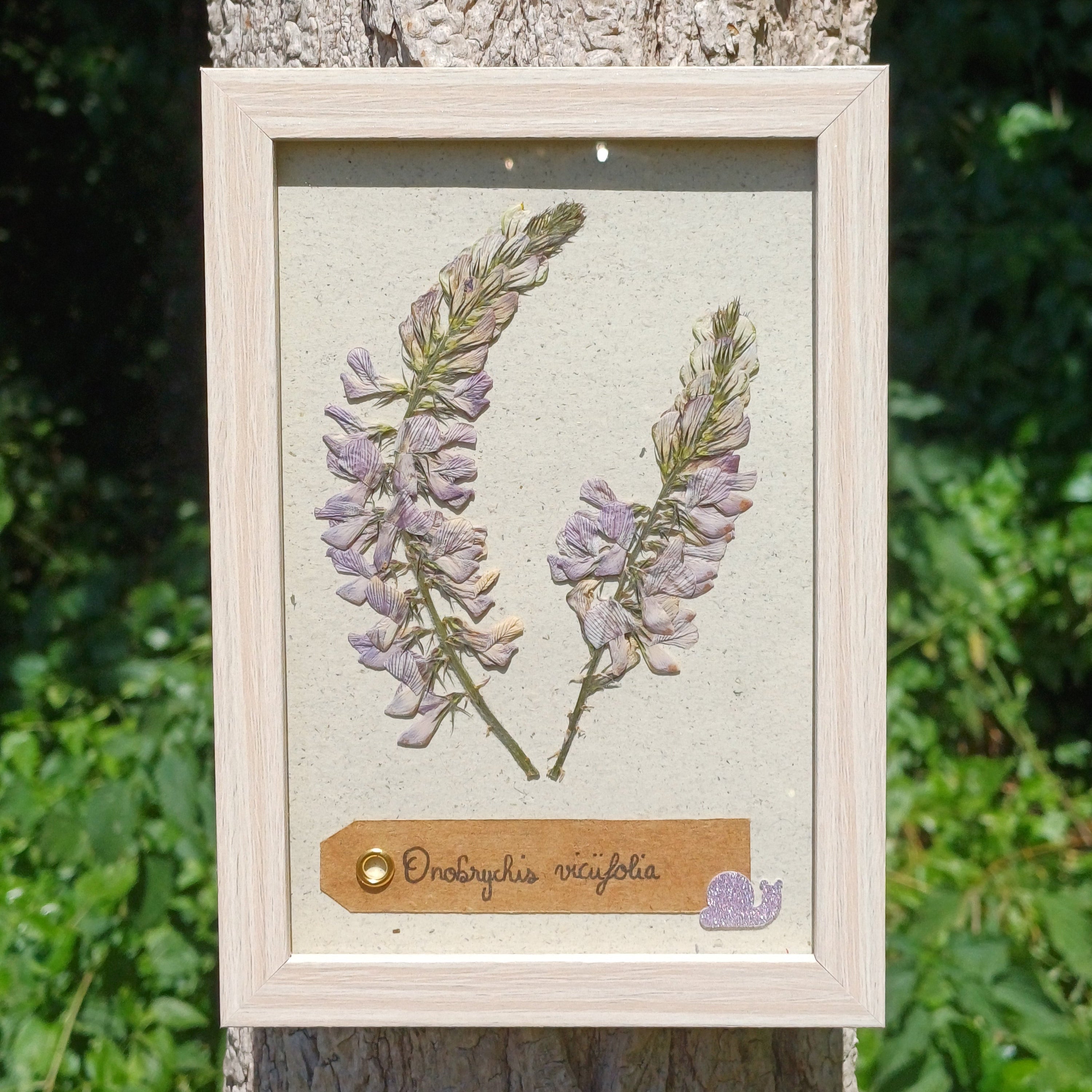 Cadre Sainfoin (petit)