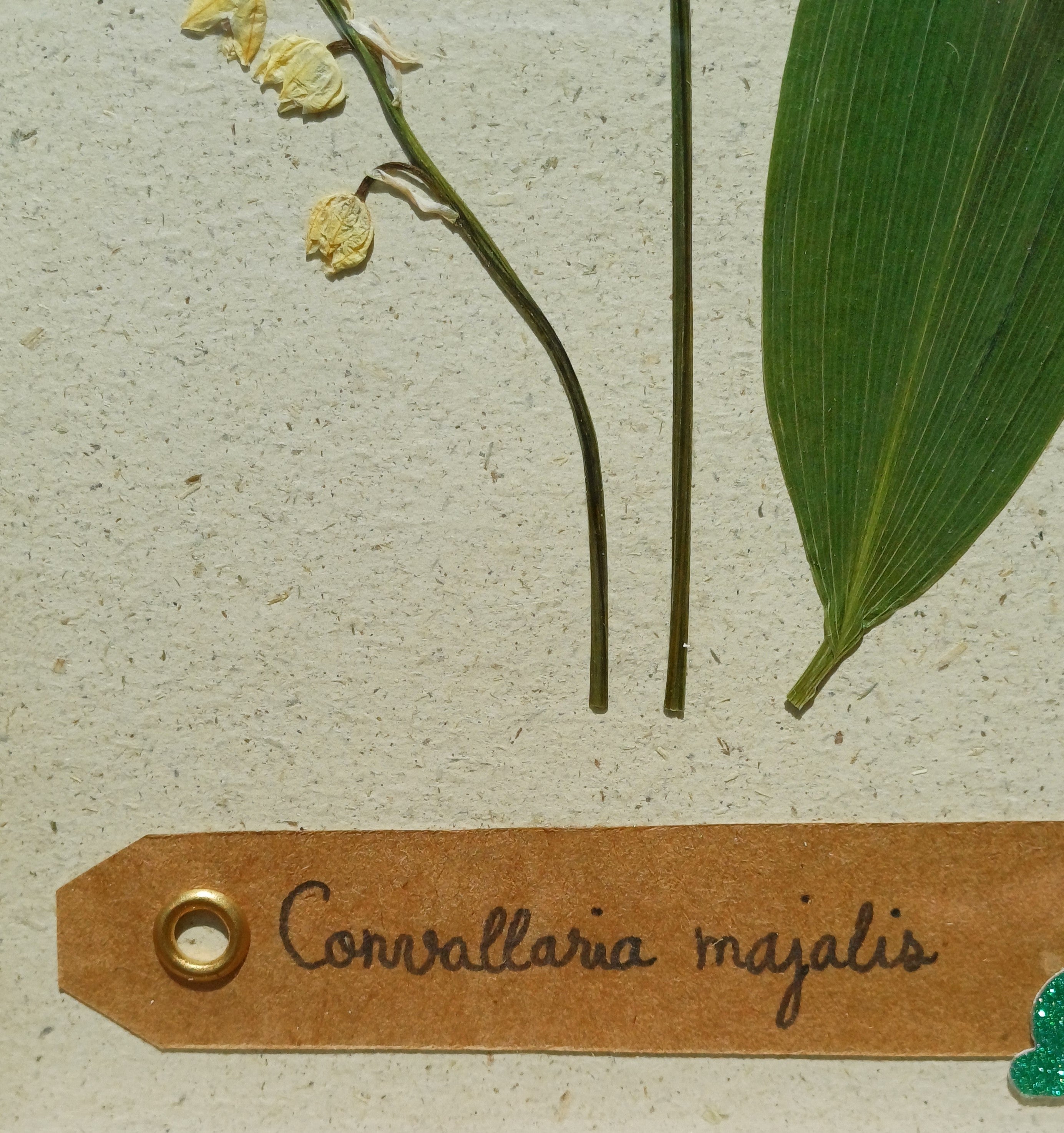 Cadre Muguet (petit)