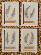 Cadre Sainfoin (petit)