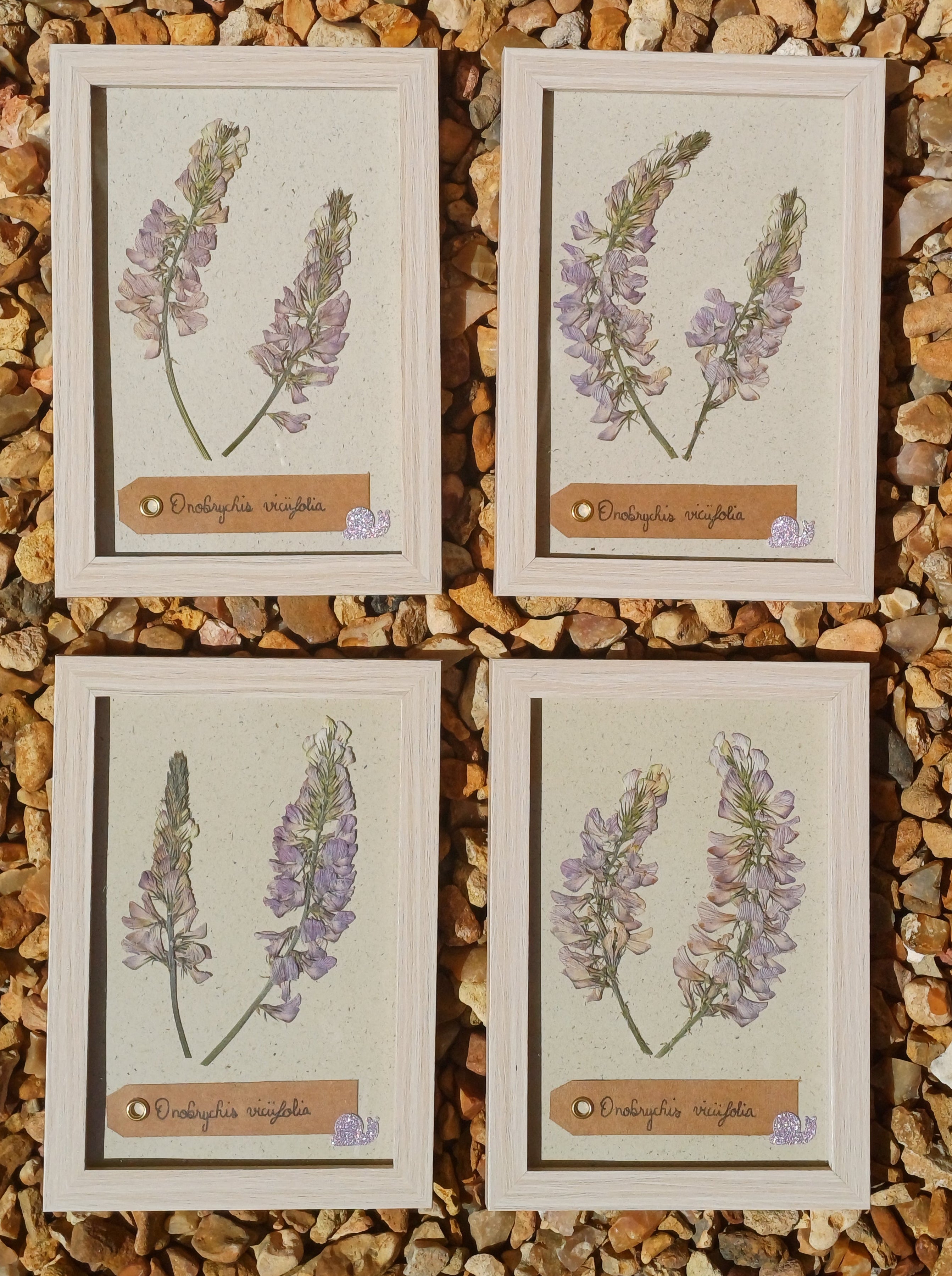 Cadre Sainfoin (petit)